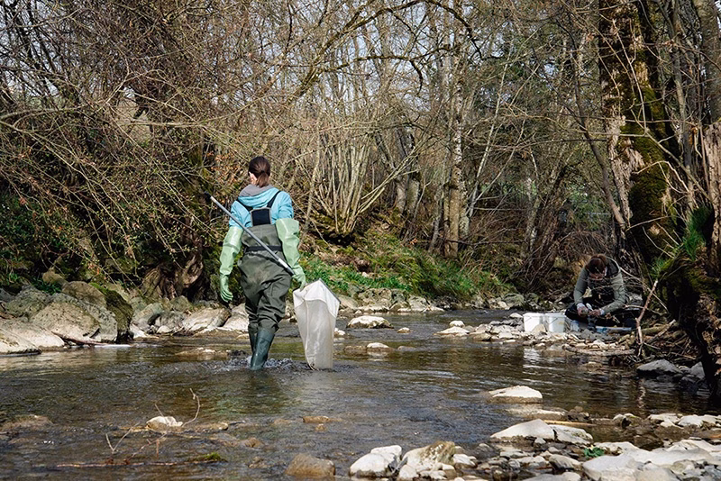 Freiburgs neue Umweltstrategien: Fortschritte und Herausforderungen!