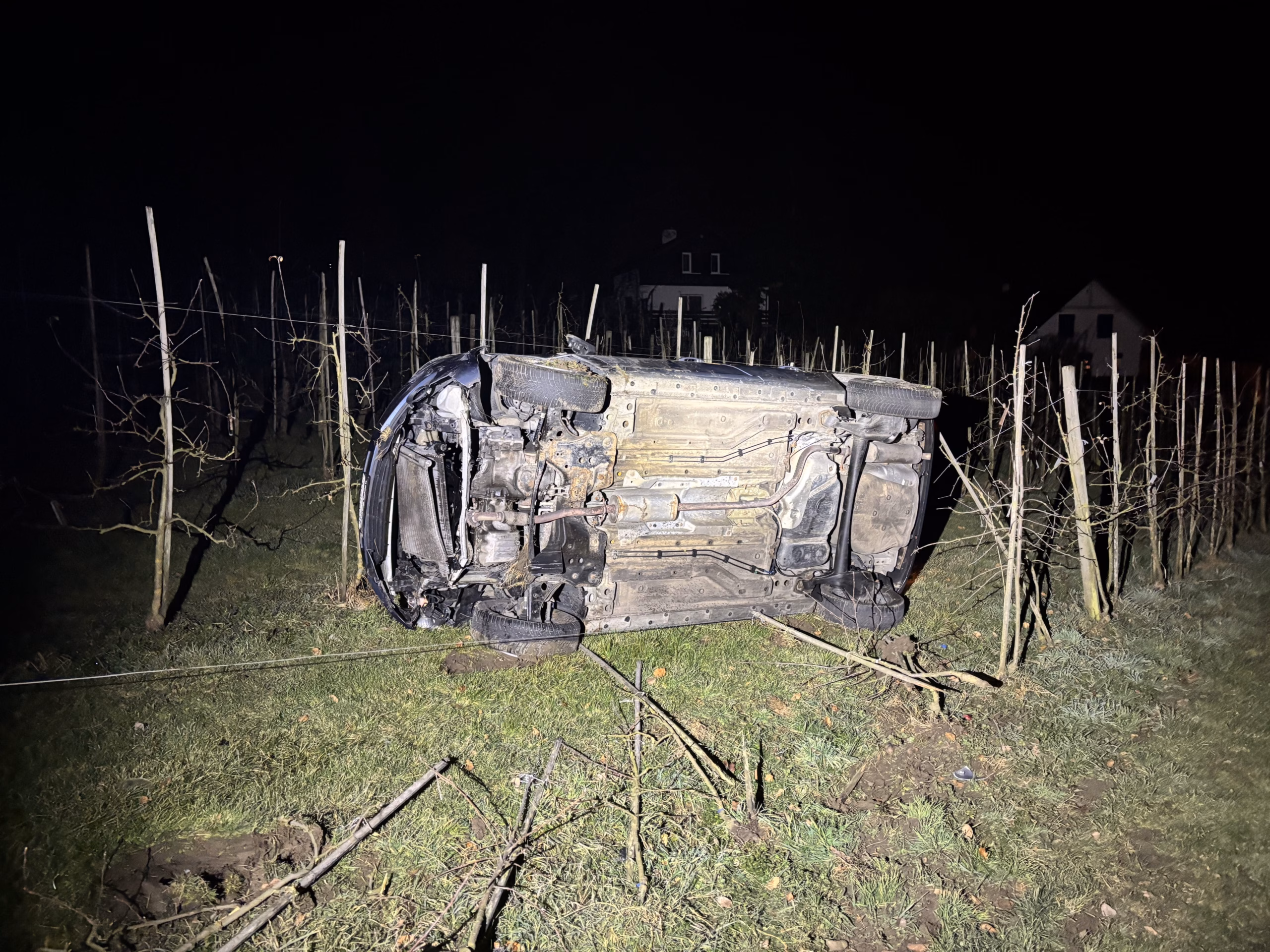 Chaos in Warth: Auto überschlägt sich und endet in Obstanlage!