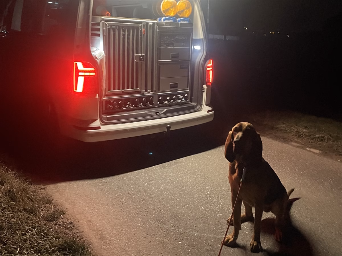 Junge Männer in Grüsch festgenommen: Mit gestohlenem Auto auf der Flucht!